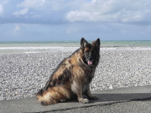 Veulettes-sur-Mer