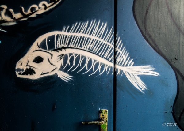 Graffit  Gent 2015-3