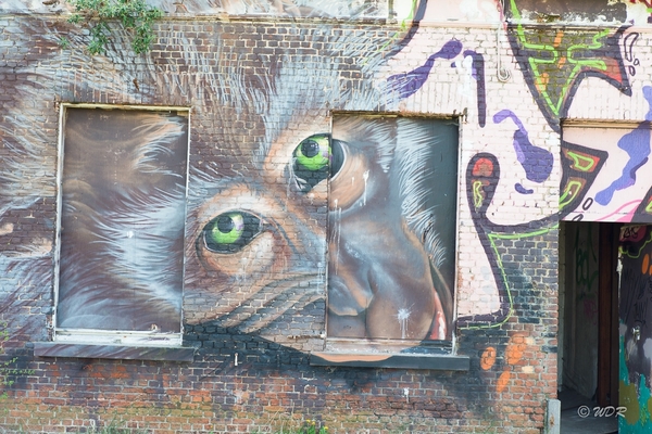 Graffiti Doel2015-36