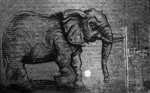 Graffiti Gent 05 2015-2