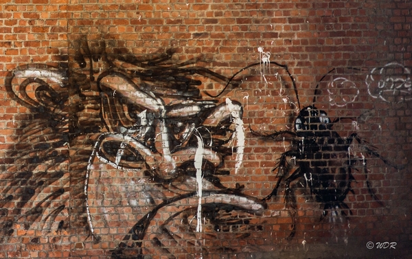 Graffiti Gent 05 2015-6