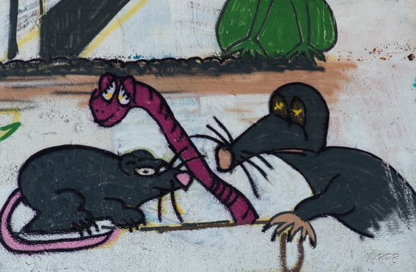 Graffiti-1