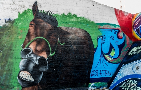 Graffiti-19