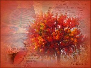 Shanty project 6