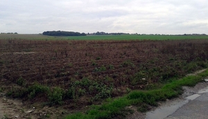 waterloo (2)