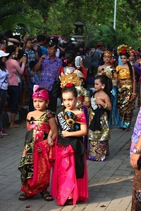 Lovina festival 2015