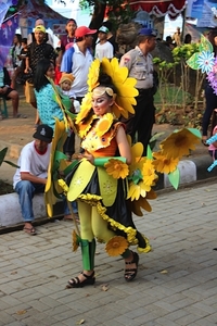 Lovina festival 2015