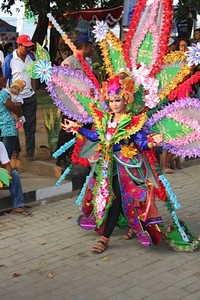 Lovina festival 2015