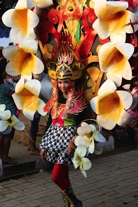 Lovina festival 2015