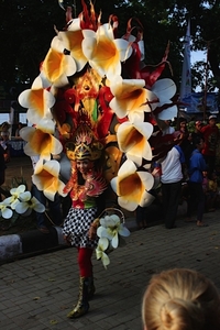 Lovina festival 2015