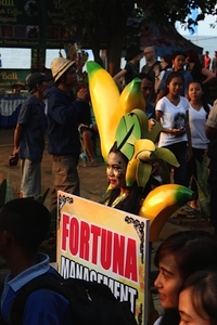 Lovina festival 2015