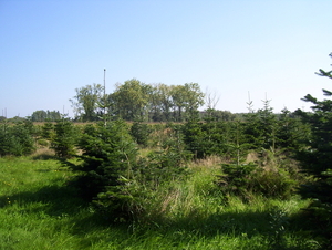 Wandeling naar Hofstade - 1 oktober 2015