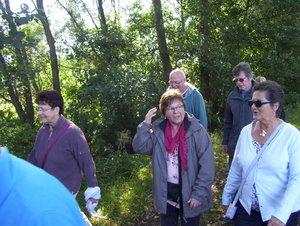 Wandeling naar Hofstade - 1 oktober 2015