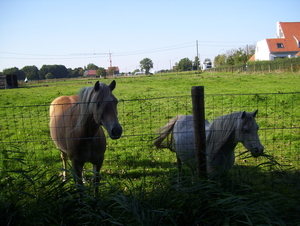 Wandeling naar Hofstade - 1 oktober 2015