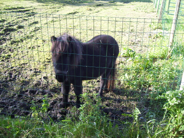 Wandeling naar Hofstade - 1 oktober 2015