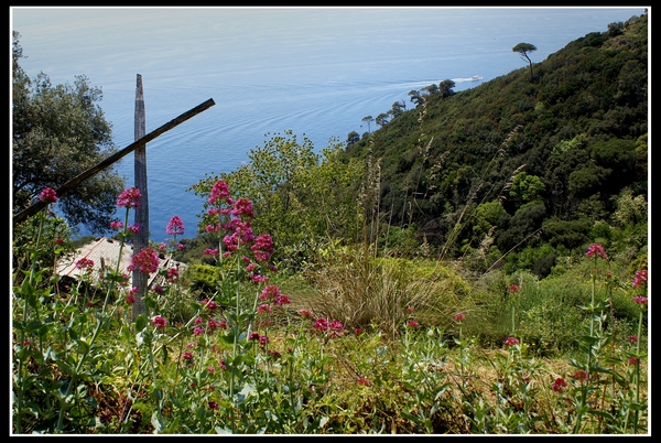 Portofino