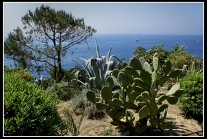 Cinque Terre