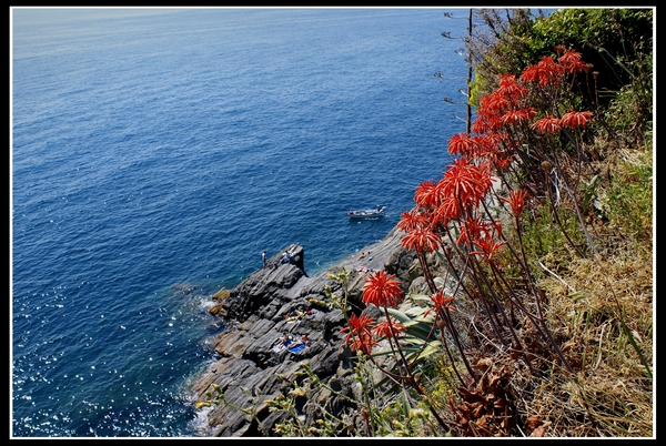 Cinque Terre