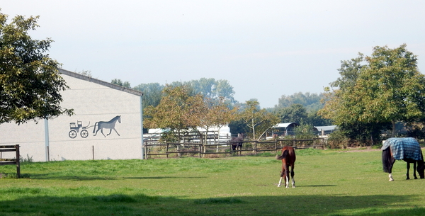 26-tweemaal rustpost in D'Abdijhoeve...