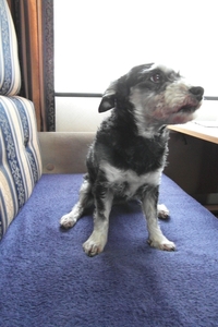 SAM_0017