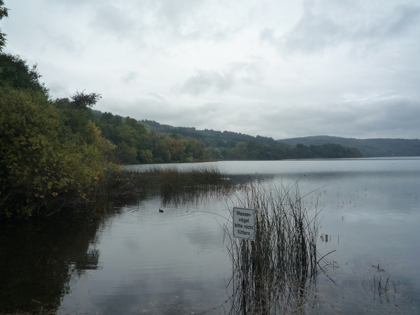 6  Laacher See _P1220584