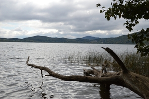 6 Laacher See _DSC_0075