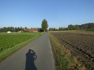 Dagfietstocht Buggenhout Bos - 28 september 2015