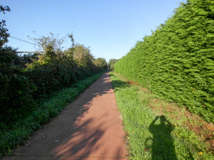 Dagfietstocht Buggenhout Bos - 28 september 2015