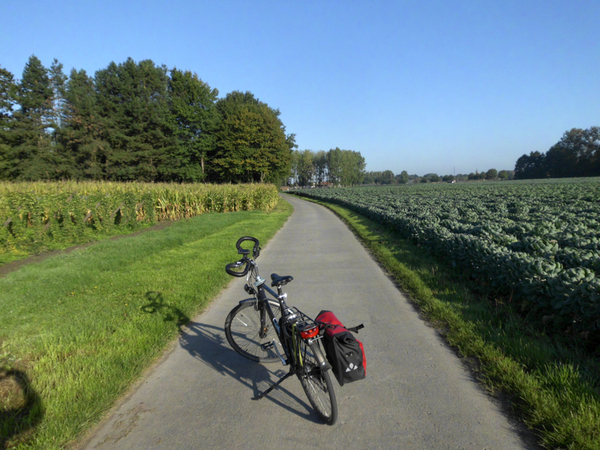 Dagfietstocht Buggenhout Bos - 28 september 2015