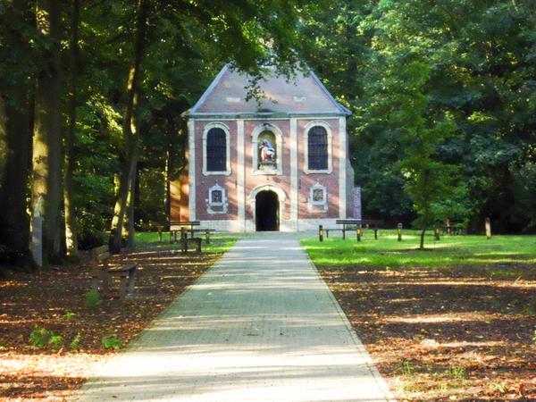 Dagfietstocht Buggenhout Bos - 28 september 2015