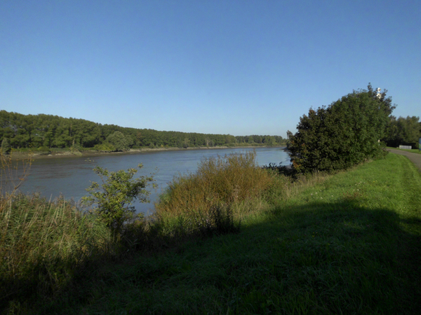 Dagfietstocht Buggenhout Bos - 28 september 2015