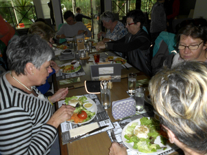 Dagfietstocht Buggenhout Bos - 28 september 2015