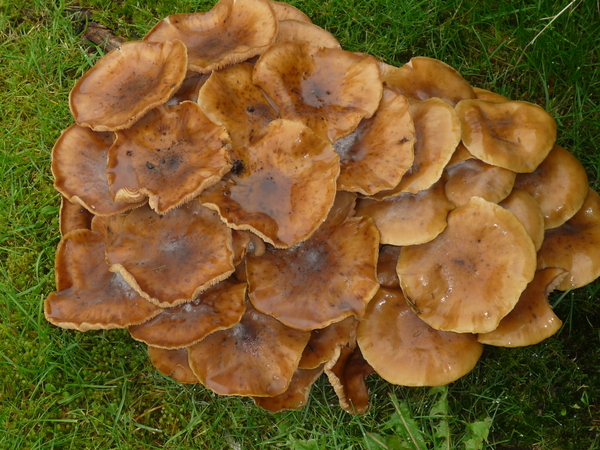 P1080006