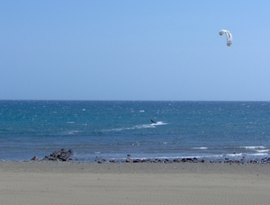 Windsurfer op zee...