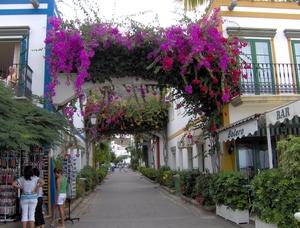 En van de pittoreske straatjes in Puerto de Mogan...