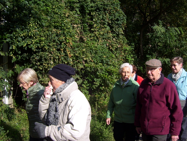 In en langs het bos - 12 oktober 2015