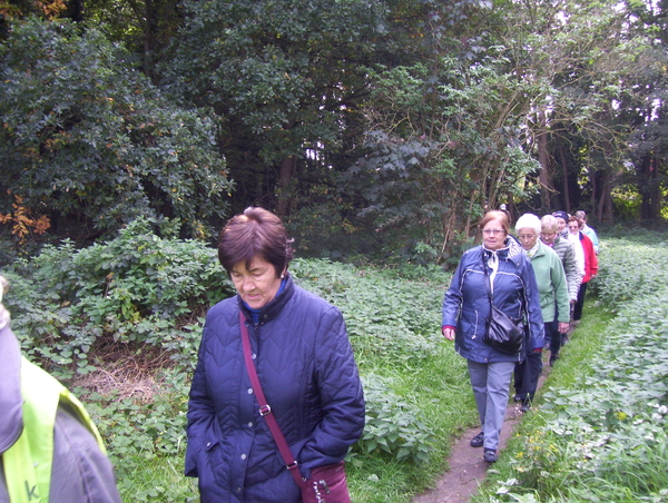 In en langs het bos - 12 oktober 2015