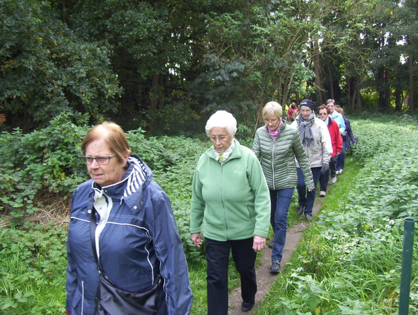 In en langs het bos - 12 oktober 2015