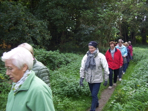 In en langs het bos - 12 oktober 2015