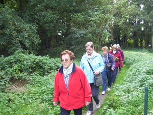 In en langs het bos - 12 oktober 2015