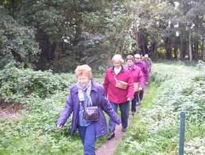 In en langs het bos - 12 oktober 2015