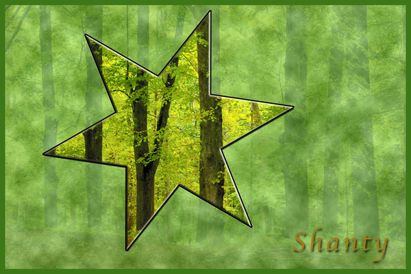Shanty project 9.1.