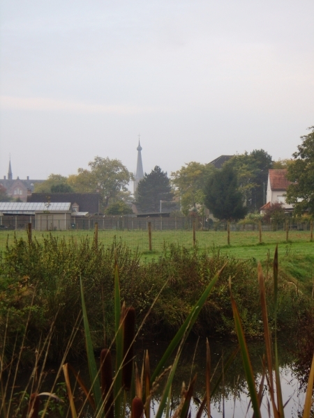 2015-10-15 verk. Vorselaar (3)