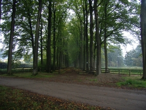 2015-10-15 verk. Vorselaar (14)