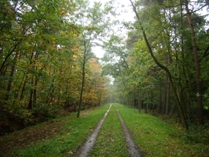 2015-10-15 verk. Vorselaar (27)