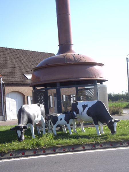 Dagfietstocht naar Baardegem - 12 oktober 2015