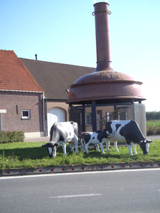 Dagfietstocht naar Baardegem - 12 oktober 2015