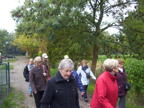 Wandeling langs Vrouwvliet - 19 oktober 2015