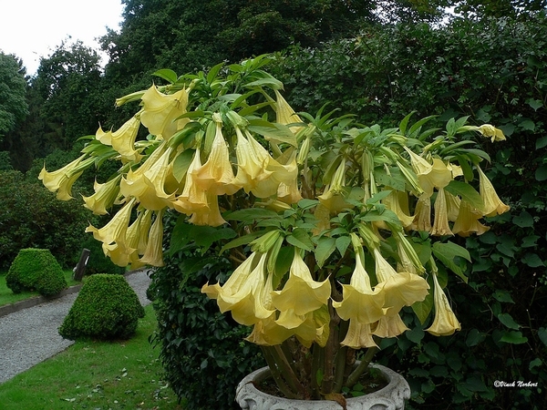 sized_sized_P2370489a onbekend