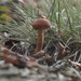 _DSC0273